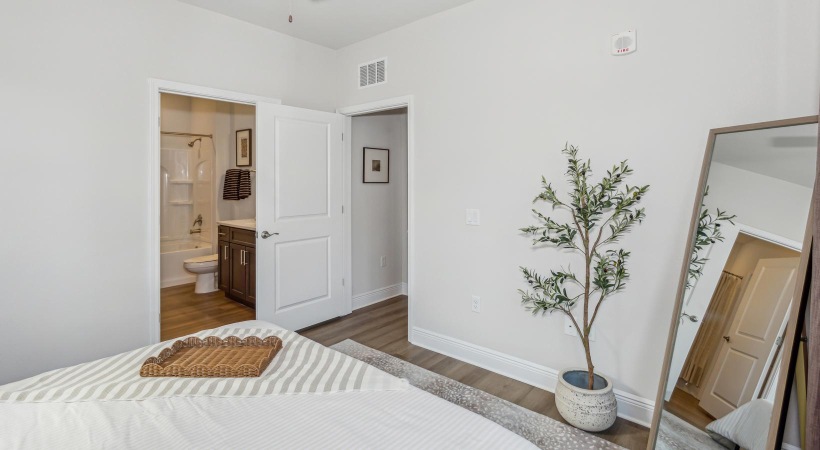 a living room with a rug and a plant